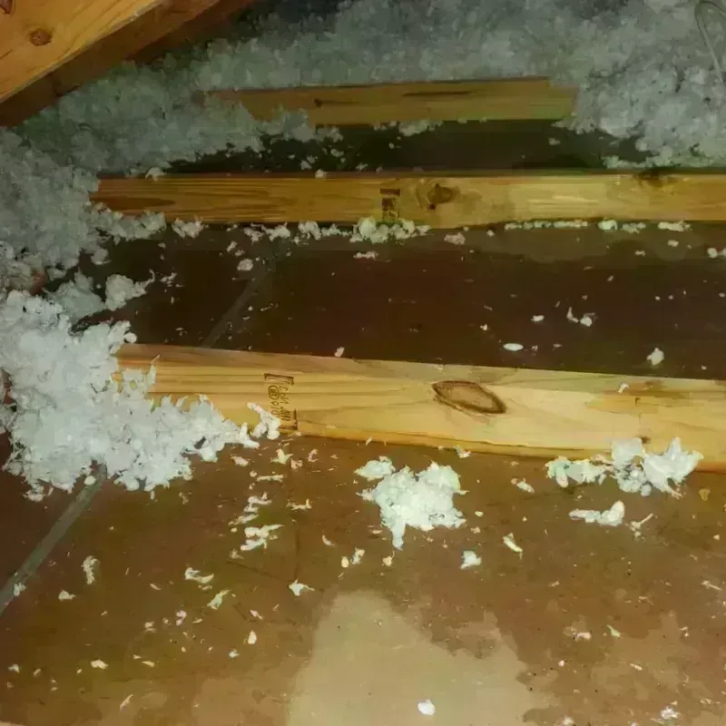 Attic Water Damage in Cannon Air Force Base, NM